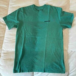 Patagonia Men's Medium Responsibili-tee